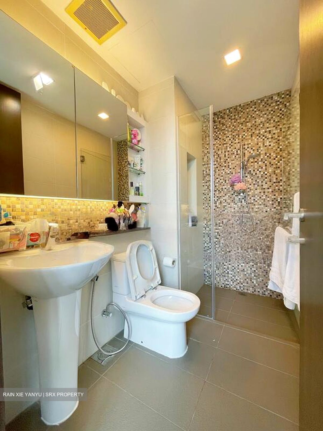 Radiance @ Bukit Timah (D21), Terrace #466635671